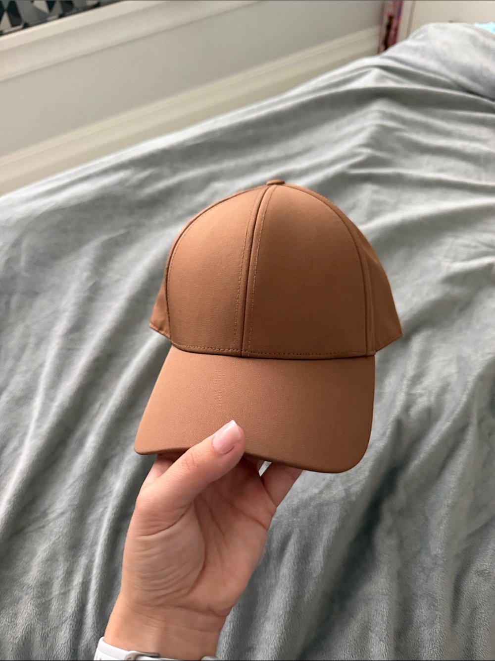 Aritzia Auxiliary Brown Baseball Cap